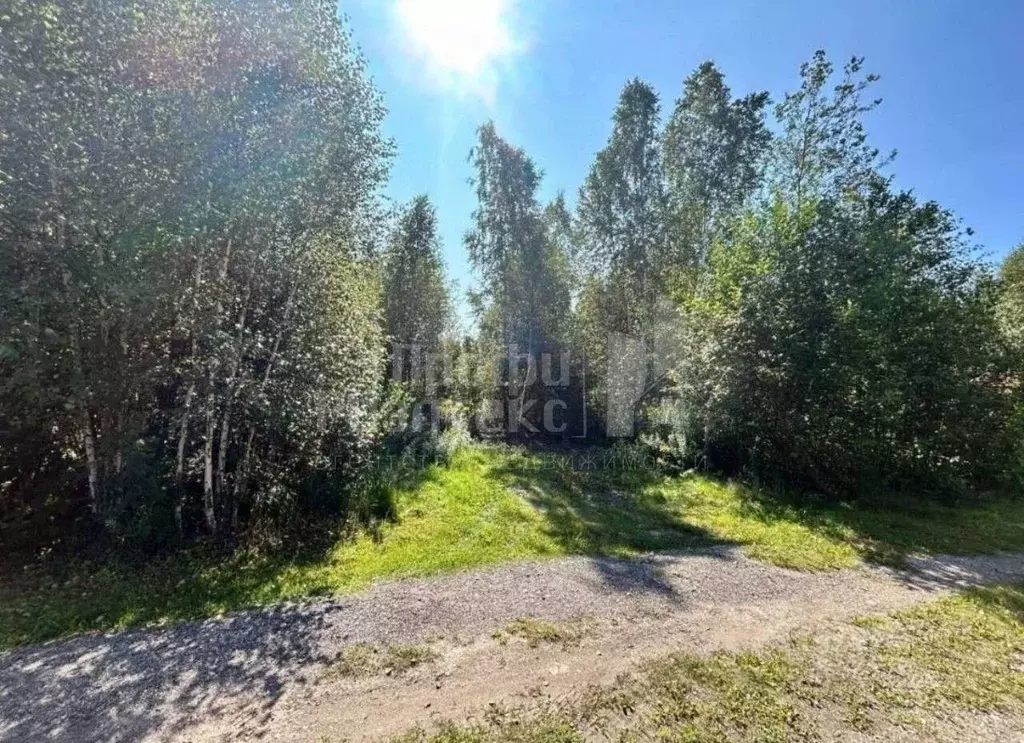 Участок в Нижегородская область, Нижний Новгород Березка СНТ, 181 (7.0 ... - Фото 0