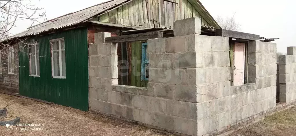 Дом в Амурская область, Ивановский муниципальный округ, с. Среднебелая ... - Фото 1