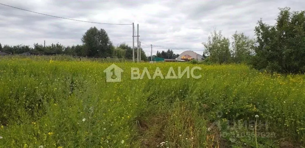 Участок в Владимирская область, Суздальский район, с. Павловское ... - Фото 1