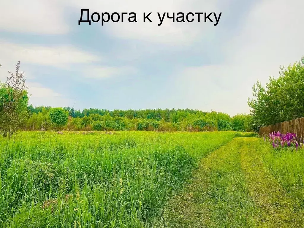Участок в Московская область, Павлово-Посадский городской округ, д. ... - Фото 0