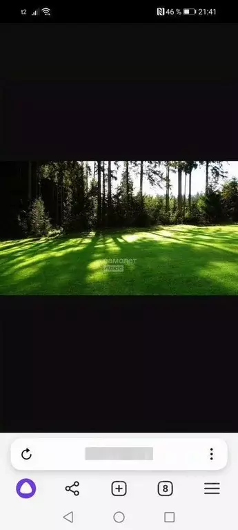 Участок в Челябинская область, Миасский городской округ, с. Черновское ... - Фото 2