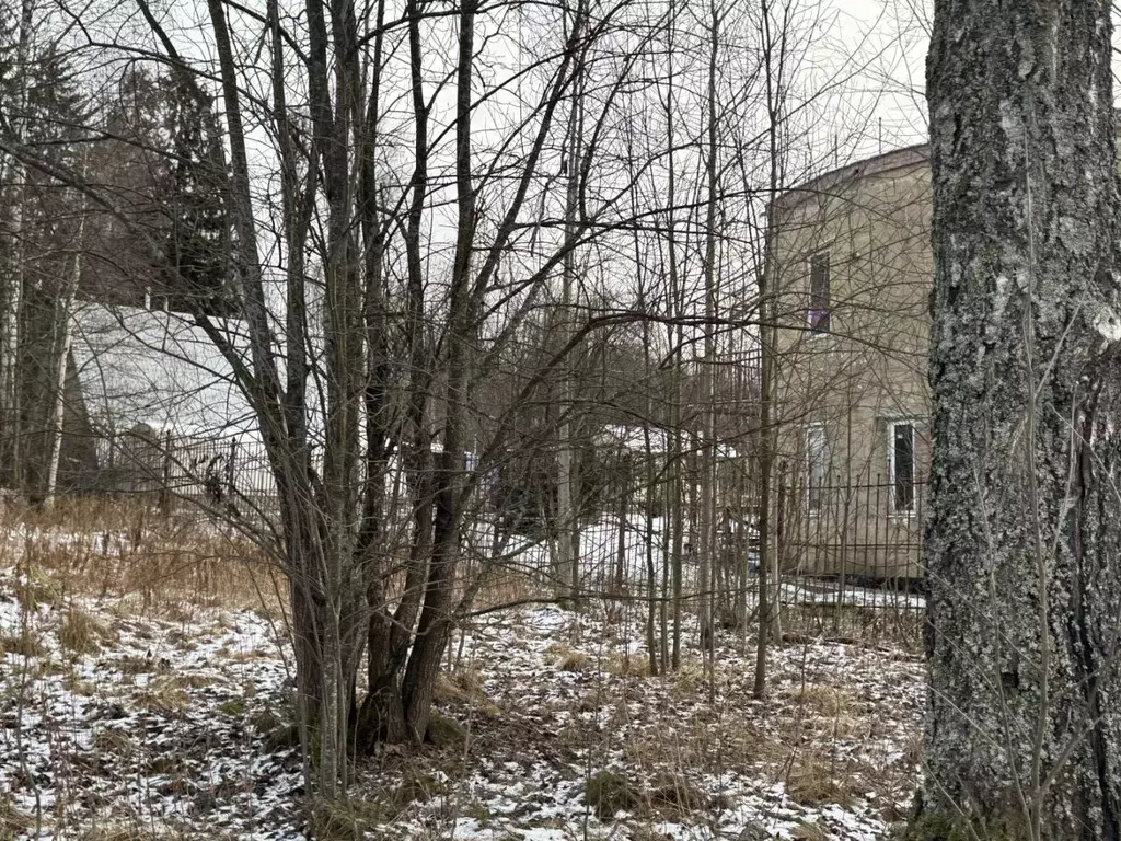 Участок в Ленинградская область, Всеволожский район, Куйвозовское ... - Фото 1