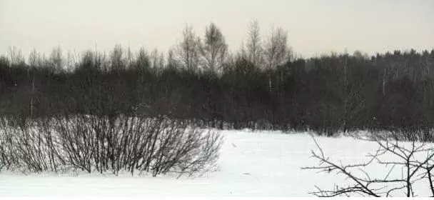 Участок в Московская область, Коломна городской округ, пос. Пески  ... - Фото 1