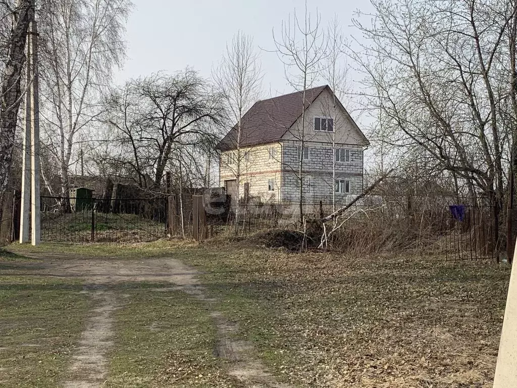 Участок в Новосибирская область, Тогучинский район, Горный рп ... - Фото 0