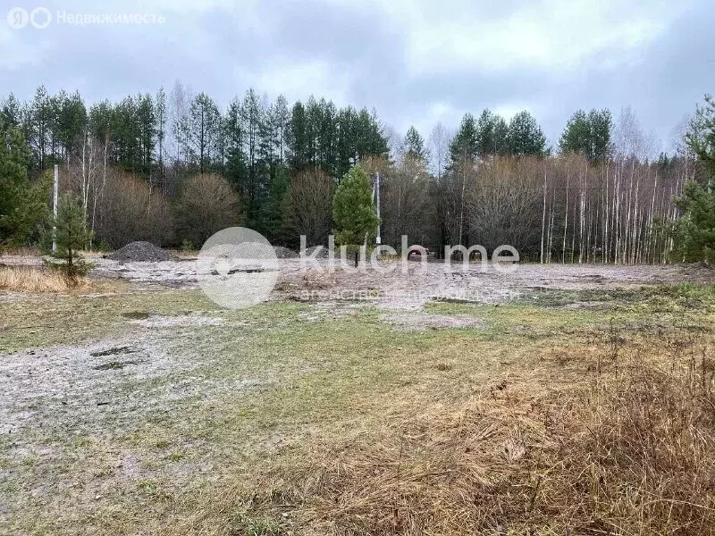 Участок в Дачное сельское поселение (10 м) - Фото 1