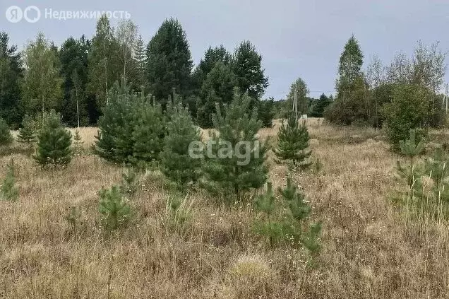 Участок в Кузнецкий район, СНТ Пригородное (4 м) - Фото 0