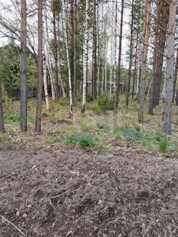 Участок в Красноярский край, Дивногорск Дружба СНТ, 147 (12.0 сот.) - Фото 2