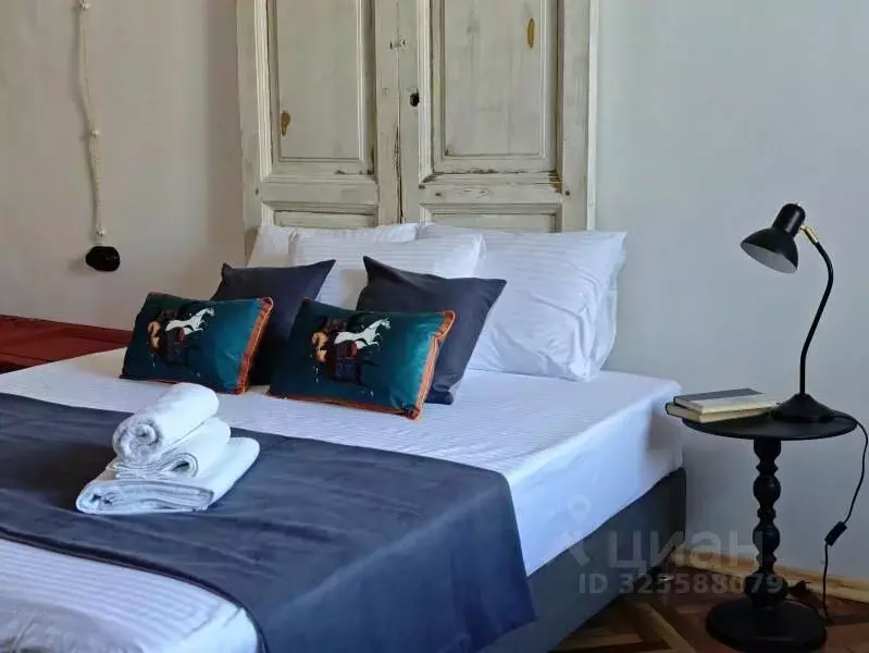 Комната Санкт-Петербург ул. Жуковского, 33 (20.0 м) - Фото 2