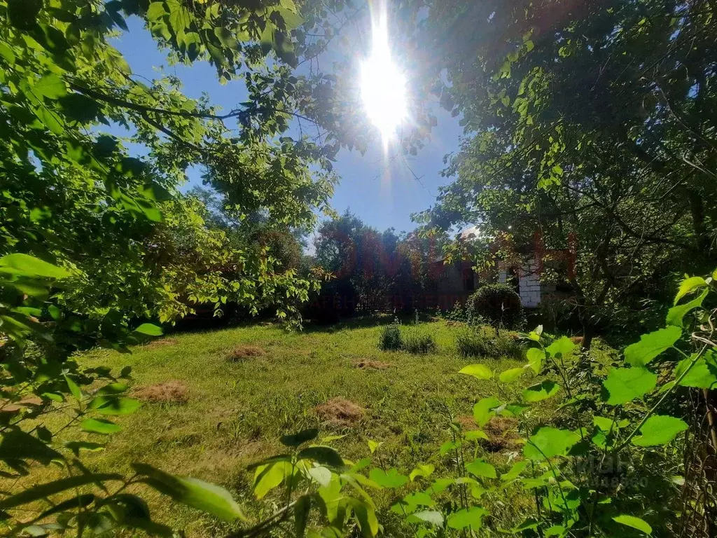 Участок в Ростовская область, Азовский район, Елизаветинское с/пос, ... - Фото 1