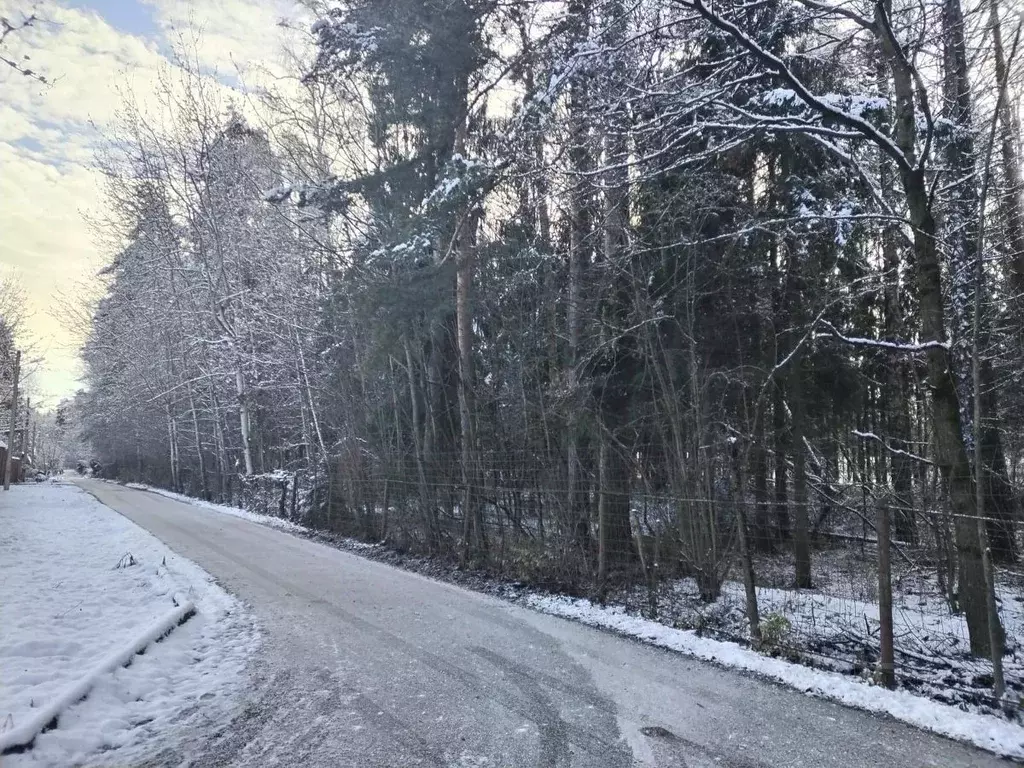 Участок в Московская область, Мытищи городской округ, д. Афанасово ул. ... - Фото 2