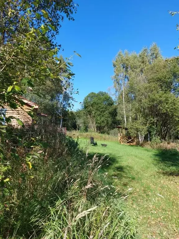 Дом в Калужская область, Дзержинский муниципальный округ, д. Дорохи ... - Фото 2