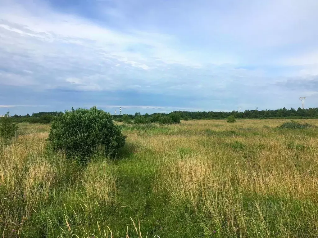 Участок в Красноярский край, Емельяновский муниципальный округ, д. ... - Фото 1