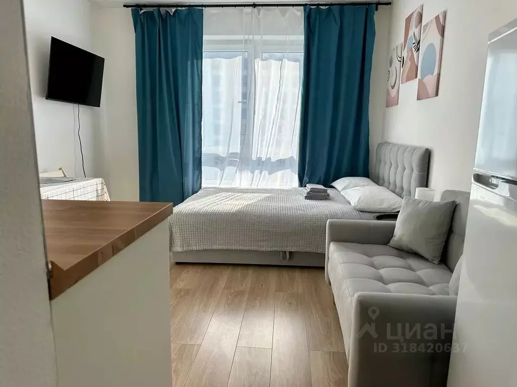 Студия Московская область, Одинцово ул. Рябиновая, 3к1 (25.0 м) - Фото 1