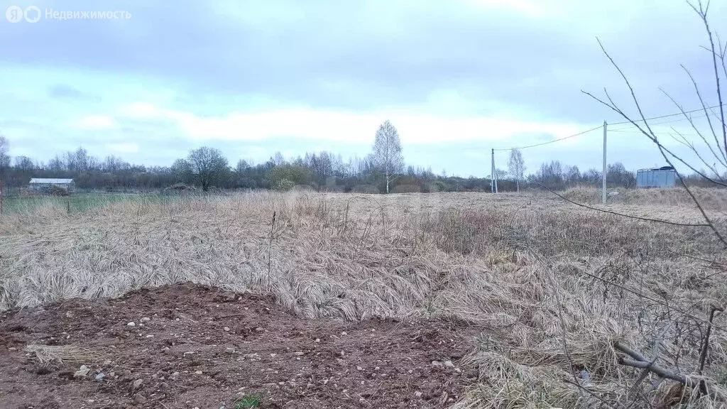 Участок в Псковский район, Логозовская волость, деревня Дуброво (29.16 ... - Фото 0