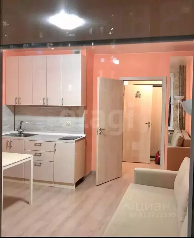 Студия Санкт-Петербург ул. Крыленко, 1к1с6 (22.6 м) - Фото 0