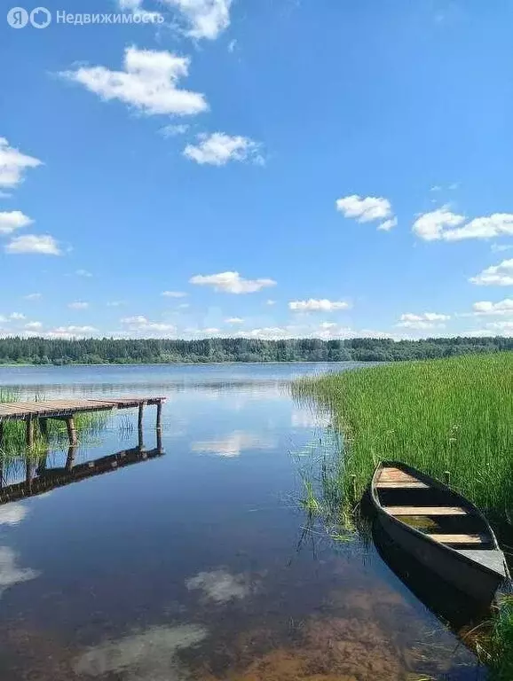 Дом в Ленинградская область, Гатчинский муниципальный округ, село ... - Фото 0