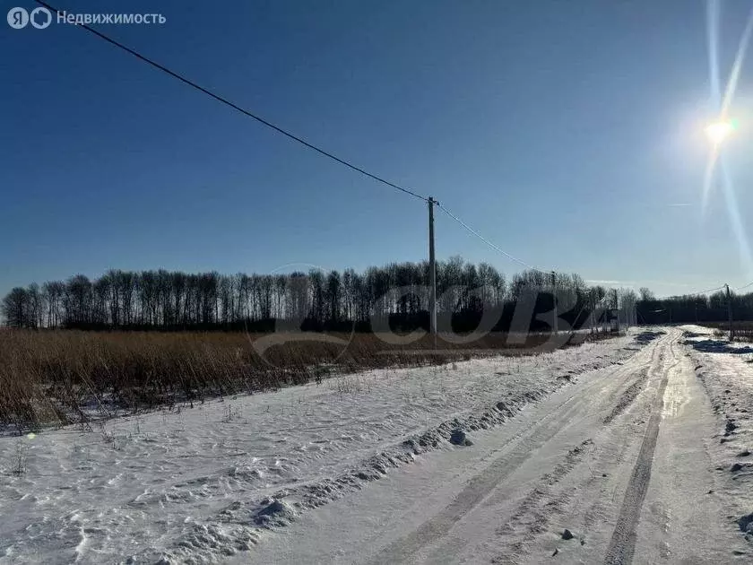 Участок в Червишевское муниципальное образование (8 м) - Фото 1