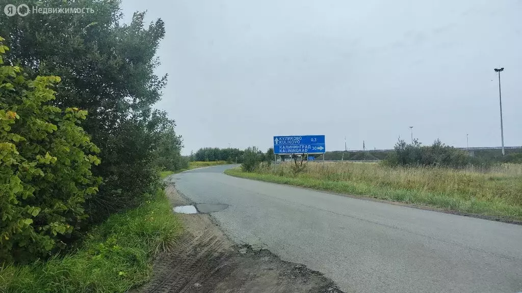 Участок в Калининградская область, Зеленоградский муниципальный округ, ... - Фото 0