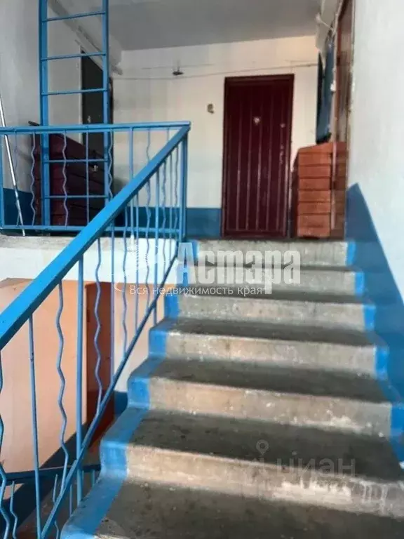 3-к кв. Забайкальский край, Чита ул. Энтузиастов, 95 (70.9 м) - Фото 2