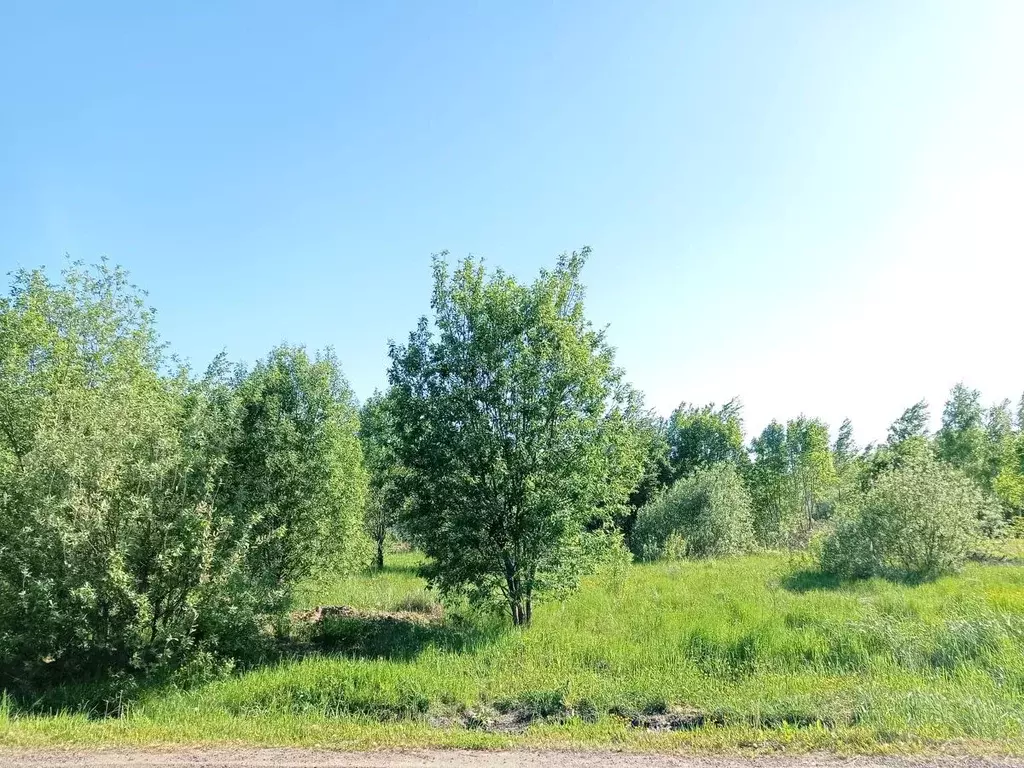 Участок в Московская область, Наро-Фоминский городской округ, Луговое ... - Фото 0