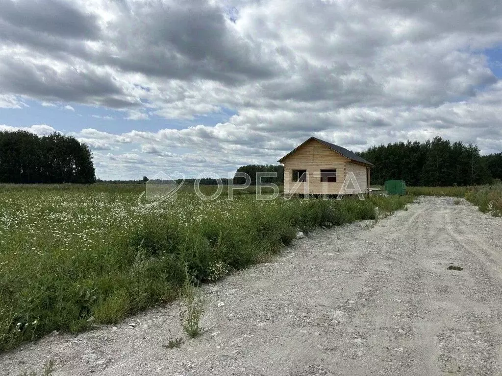 Участок в Тюменская область, Тюменский район, с. Горьковка Сибирская ... - Фото 1