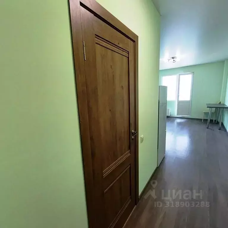 Студия Московская область, Солнечногорск городской округ, Голубое пгт ... - Фото 1