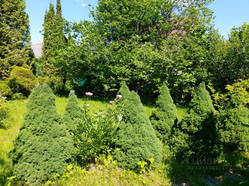 Дом в Московская область, Солнечногорск городской округ, Энергетик-1 ... - Фото 2