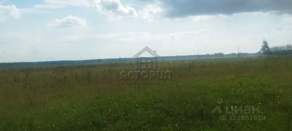 Участок в Красноярский край, Емельяновский муниципальный округ, д. ... - Фото 2