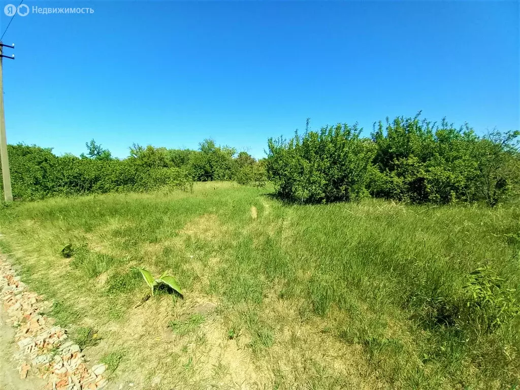 Участок в Широчанка, садовое товарищество Янтарный (5 м) - Фото 1