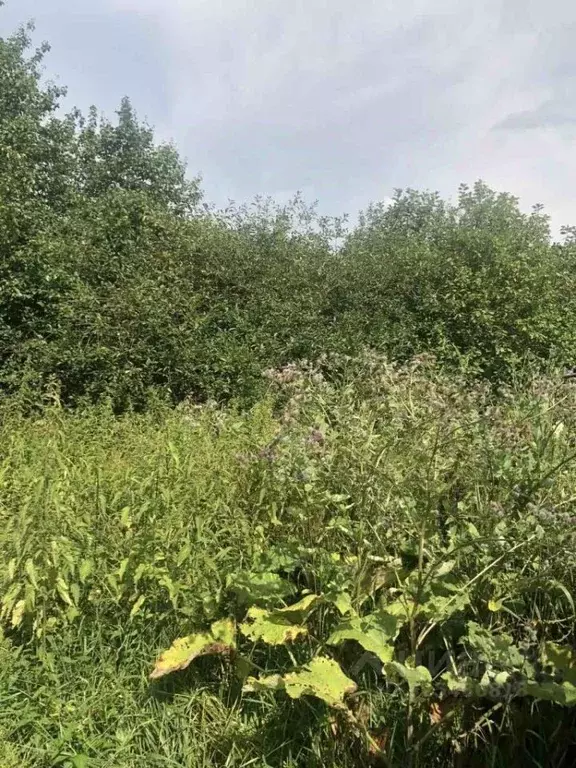 Участок в Нижегородская область, Сергачский муниципальный округ, с. ... - Фото 1