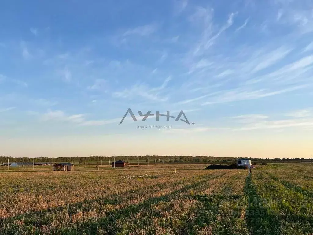 Участок в Татарстан, Тукаевский район, Калмиинское с/пос, Новая Калмия ... - Фото 2