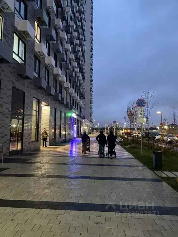 Помещение свободного назначения в Москва ул. Трехполье, 6к1 (42 м) - Фото 1