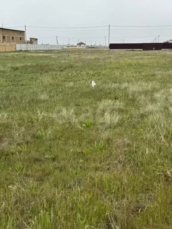 Участок в Крым, Сакский район, с. Уютное ул. Петра Николаева, 48 (7.91 ... - Фото 1