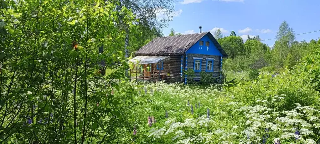 Дом в Новгородская область, Новгородский район, Ермолинское с/пос, ... - Фото 2