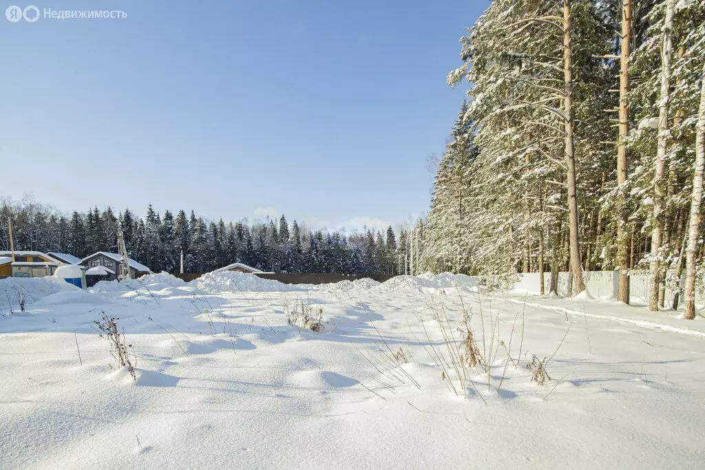 Участок в Наро-Фоминский городской округ, деревня Новинское (10.28 м) - Фото 2