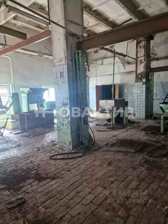 Производственное помещение в Новосибирская область, Каргат Советская ... - Фото 2