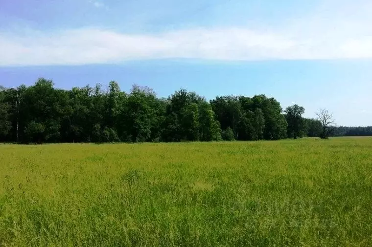 Участок в Московская область, Чехов городской округ, д. Гавриково  ... - Фото 1