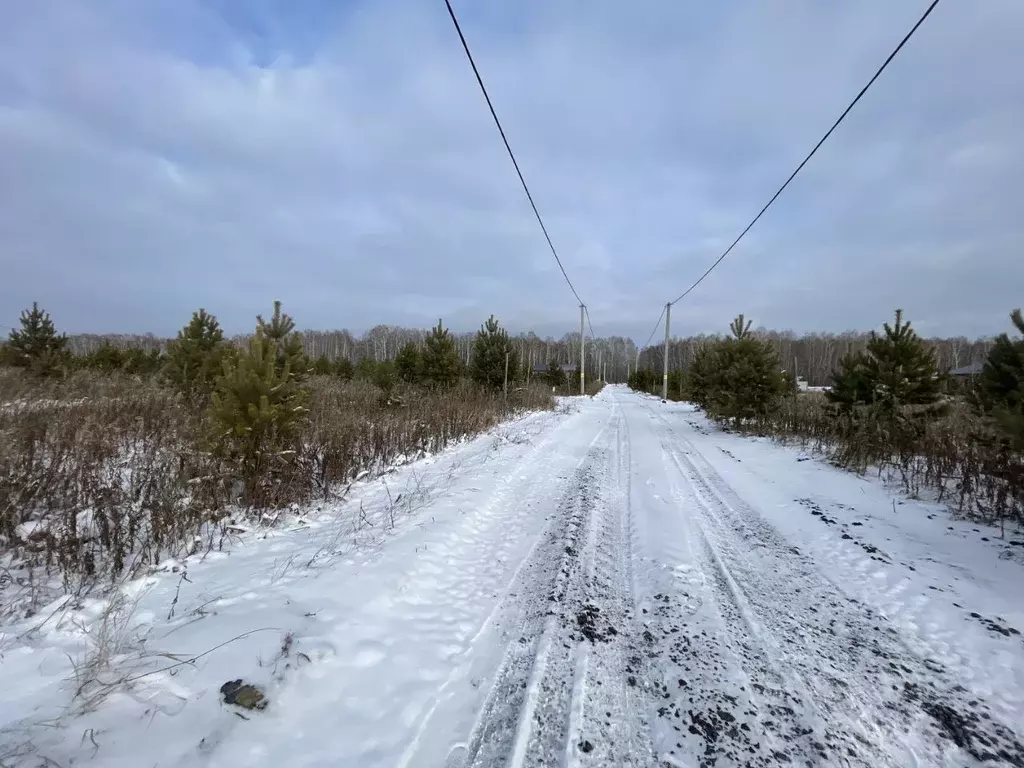 Участок в Тюменская область, Тюменский район, Новокаменский кп  (8.0 ... - Фото 0