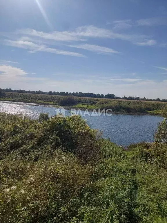 Участок в Владимирская область, Камешковский муниципальный округ, д. ... - Фото 1