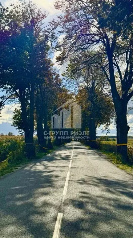 Участок в Калининградская область, Полесский муниципальный округ, пос. ... - Фото 1