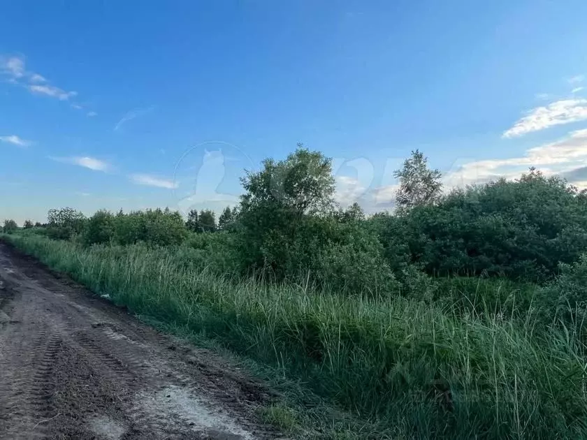 Участок в Тюменская область, Тюмень Березняки СНТ, ул. Березовая (7.2 ... - Фото 1