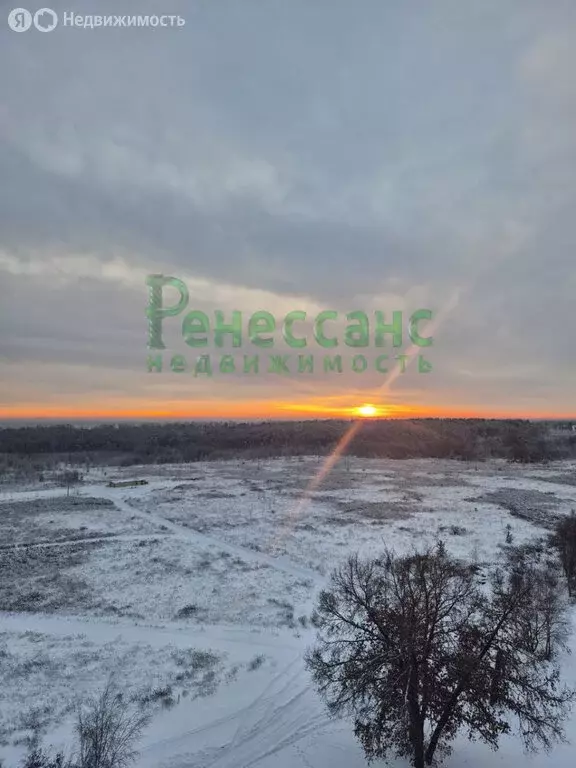 1-комнатная квартира: посёлок Мичуринский, улица Андрея Рублёва, 8 (38 ... - Фото 2