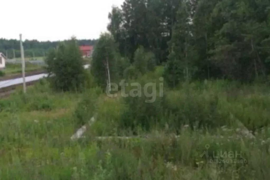 Дом в Тюменская область, Нижнетавдинский муниципальный округ, с. ... - Фото 2