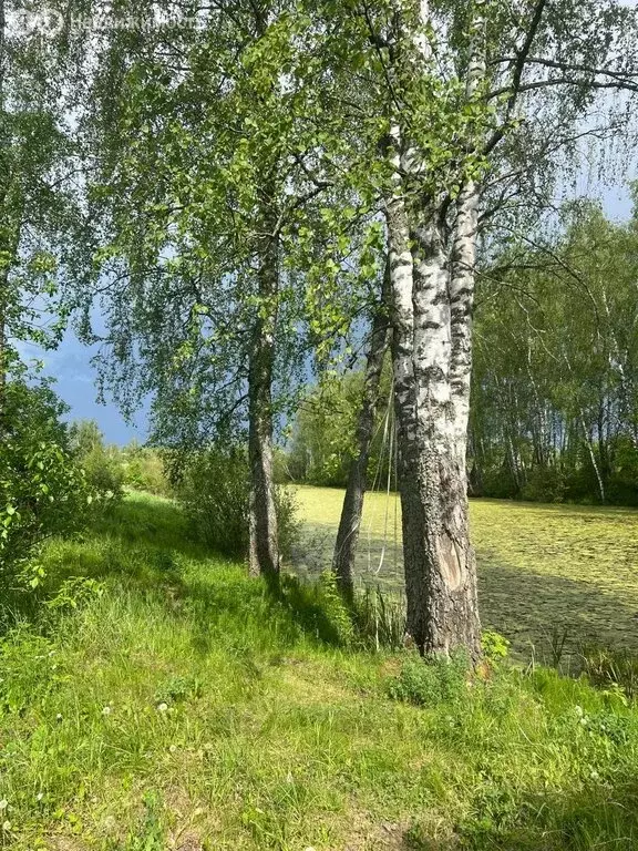 Участок в посёлок Колосово, Вишнёвая улица (15 м) - Фото 0