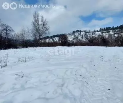 Участок в Майминский район, посёлок Филиал, улица А.Н. Муратова (9.1 ... - Фото 1