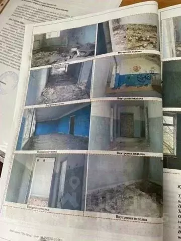 Помещение свободного назначения в Брянская область, Красная Гора рп ... - Фото 0