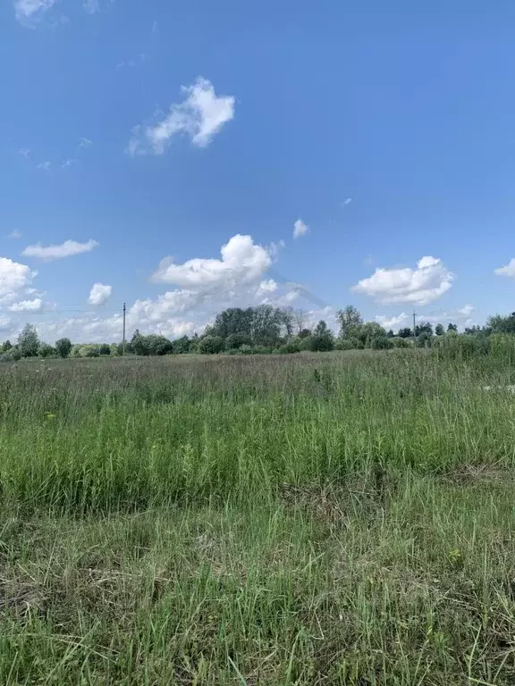 Участок в Калужская область, Перемышль с/пос, д. Хохловка ул. ... - Фото 2