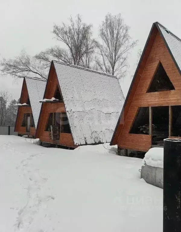 Дом в Алтай, Майминский район, Соузгинское с/пос, пос. Турбаза Юность ... - Фото 1