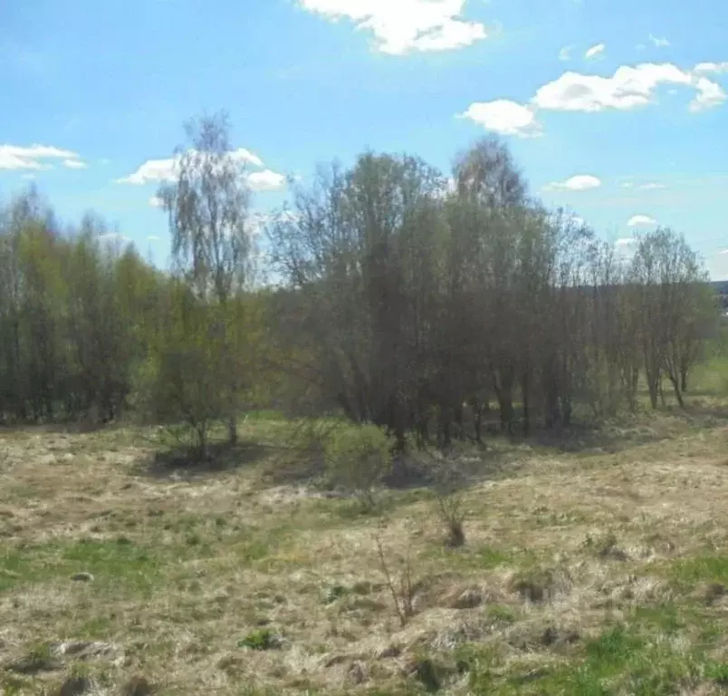 Участок в Московская область, Дмитровский муниципальный округ, с. ... - Фото 1