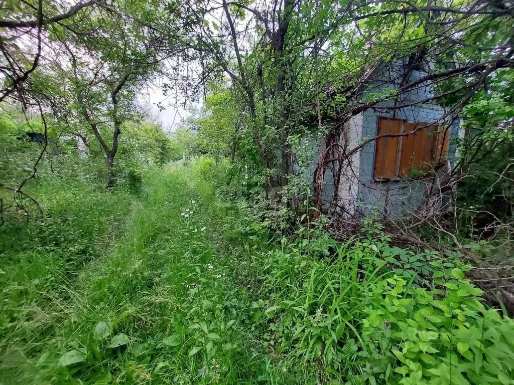 Участок в Белгородская область, Белгород Луч садовое товарищество,  ... - Фото 0